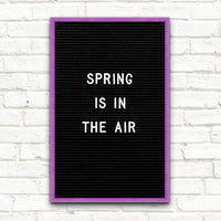 Colorful Framed Access Letterboards 11" x 17" | Shown in Amethyst Finish